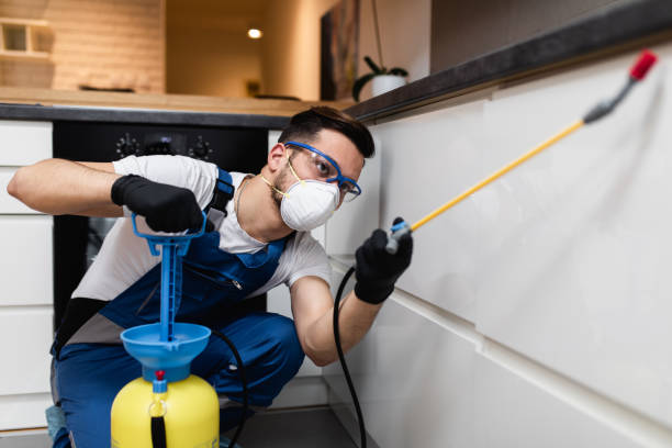 Best Mosquito Control Services  in Sauk Centre, MN