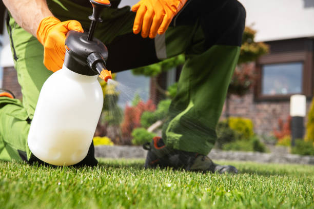 Best Commercial Pest Control Services  in Sauk Centre, MN