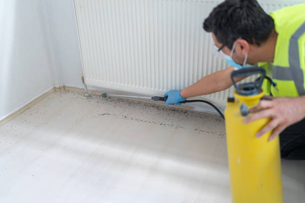 Best Best Pest Control Companies  in Sauk Centre, MN